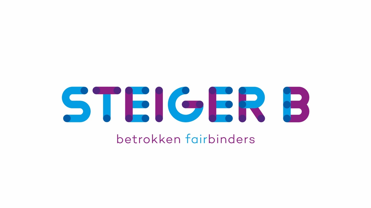 steiger b logo